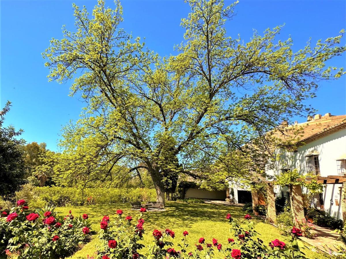 Вилла Casa Santa Catalina Эль-Чорро Экстерьер фото